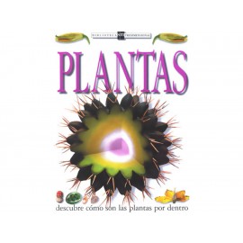 Plantas - Envío Gratuito