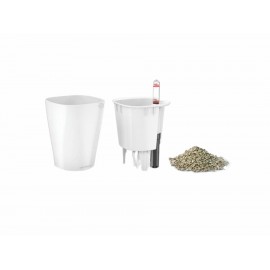 Maceta Deltini Lechuza Blanca - Envío Gratuito