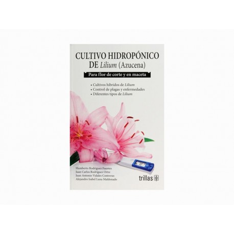 Cultivo Hidropónico de Lilium Azucena - Envío Gratuito