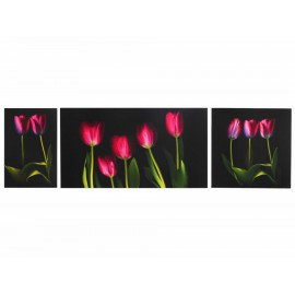 Múltiples Tulipanes Pintura Moderna - Envío Gratuito