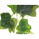 Haus Deko Colgante Cestro Verde - Envío Gratuito