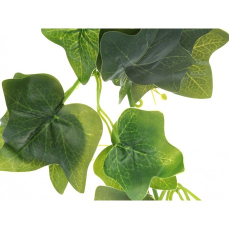 Haus Deko Colgante Cestro Verde - Envío Gratuito