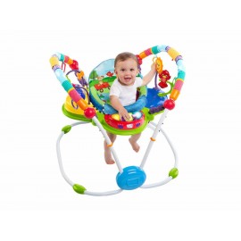 Baby Einstein Brincolín Musical - Envío Gratuito