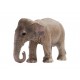 Schleich Figura Camcom de Elefante Astático - Envío Gratuito