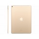 IPad Pro 12.9 Pulgadas 64 GB Oro - Envío Gratuito