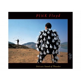 Delicate Sound of Thunder Pink Floyd 2CDS - Envío Gratuito