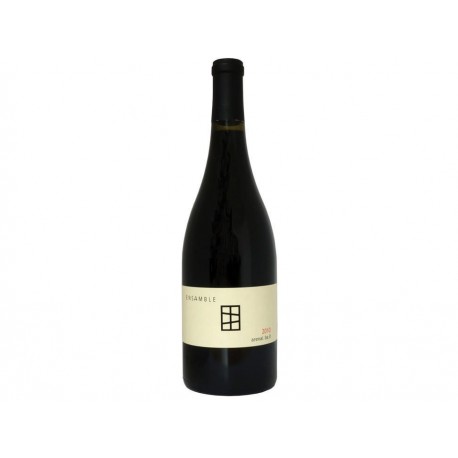 Vino Tinto Ensamble Arenal 750 ml - Envío Gratuito