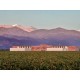 Vino Tinto Trumpeter Malbec Reserva 750 ml - Envío Gratuito