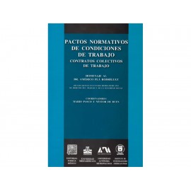 Pactos Normativos de Condiciones de Trabajo - Envío Gratuito